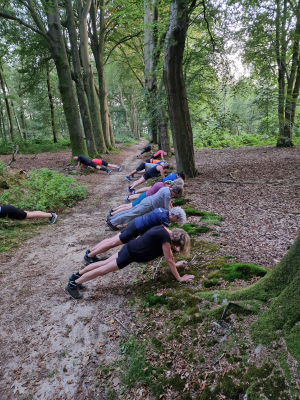 Wandel Bootcamp