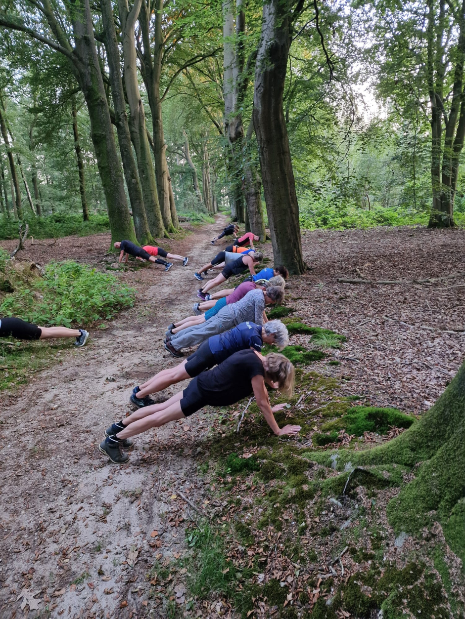 Wandel Bootcamp